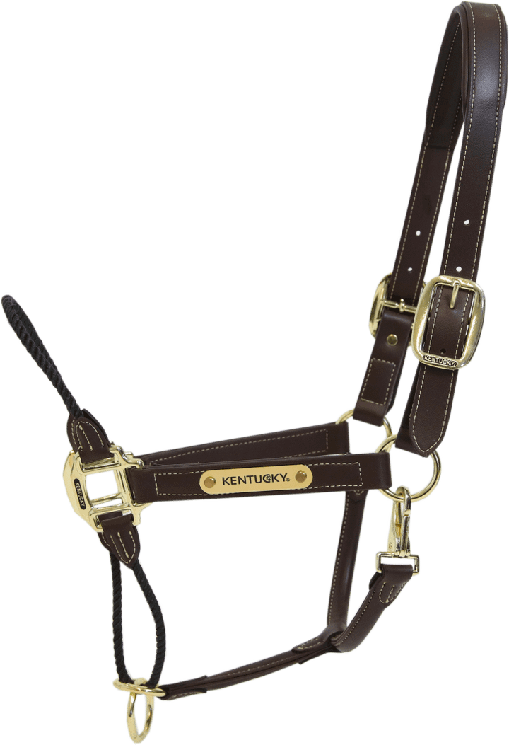 Kentucky Leather Rope riimu Ruskea