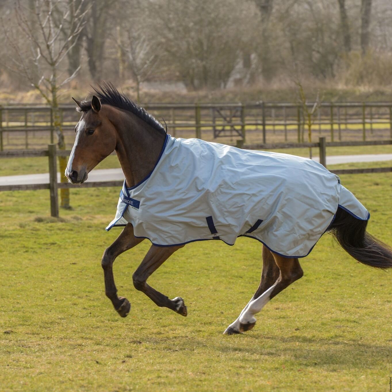 Bucas Power Turnout High Neck ulkoloimi Silver