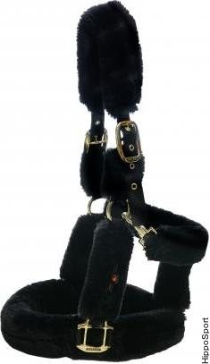 Kentucky lampaankarvariimu Musta