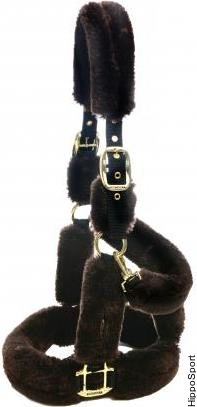 Kentucky lampaankarvariimu Ruskea