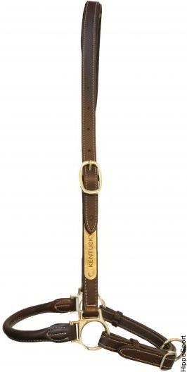 Kentucky hoitoriimu Ruskea