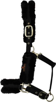 Kentucky karvariimu Musta