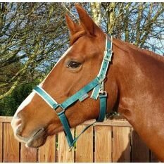 Bucas Dublin riimu Atlantic/Hopea