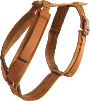 Kentucky Active Velvet koiranvaljaat Oranssi