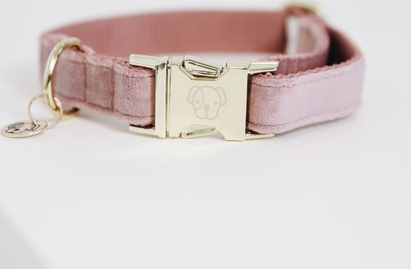 Kentucky Velvet koiran kaulapanta Old Rose