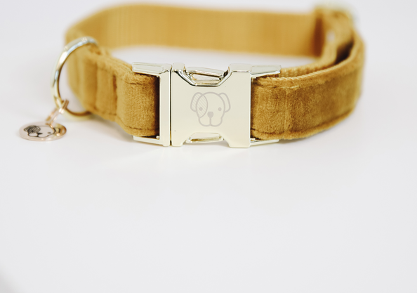 Kentucky Velvet koiran kaulapanta Mustard