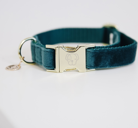 Kentucky Velvet koiran kaulapanta Emerald