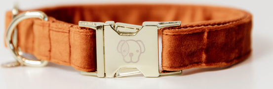 Kentucky Velvet koiran kaulapanta Oranssi