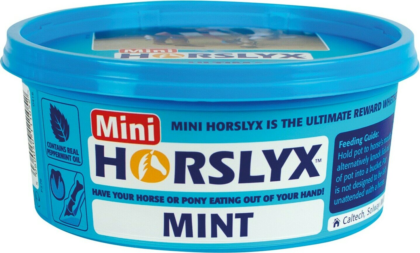 Horslyx Mini nuolukivi Mint