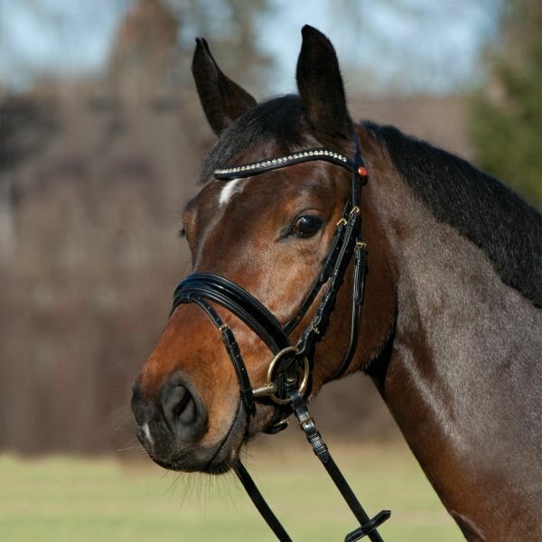 Kieffer Comfort Paris nivelsuitset Musta/Musta