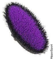 William Leistner Wurzelkardätsche harja Musta/Lila