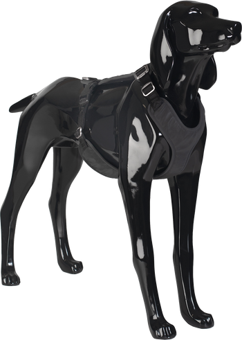 PAIKKA Visibility valjaat Dark