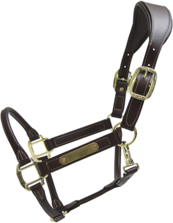 Kentucky Anatomic nahkariimu Ruskea