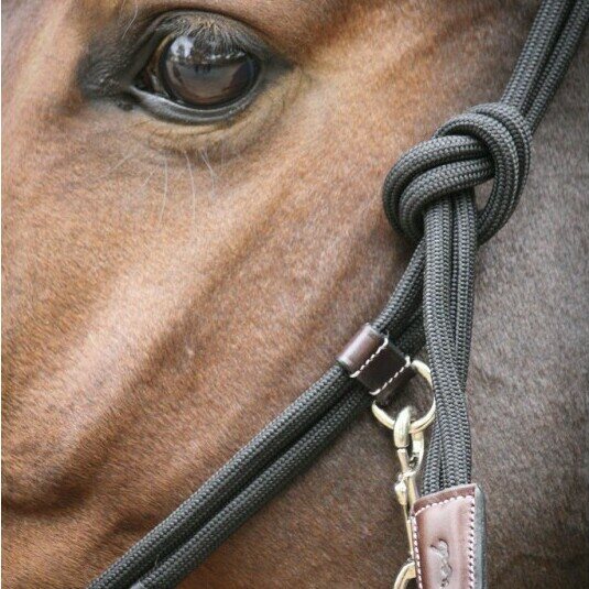 Pénélope Naruriimu Musta