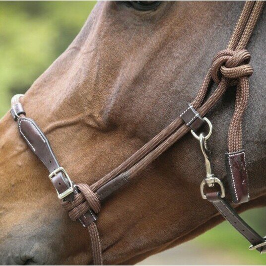 Pénélope Naruriimu Ruskea