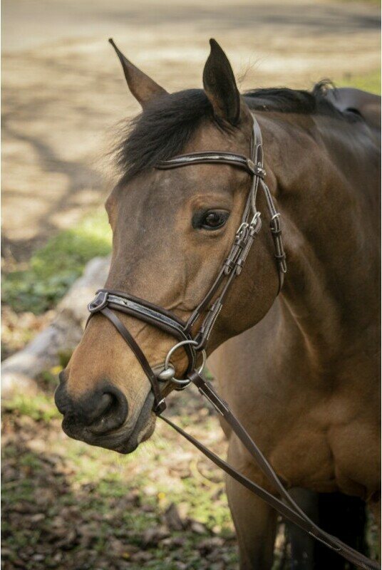 Pénélope Smoothie nivelsuitset Havana