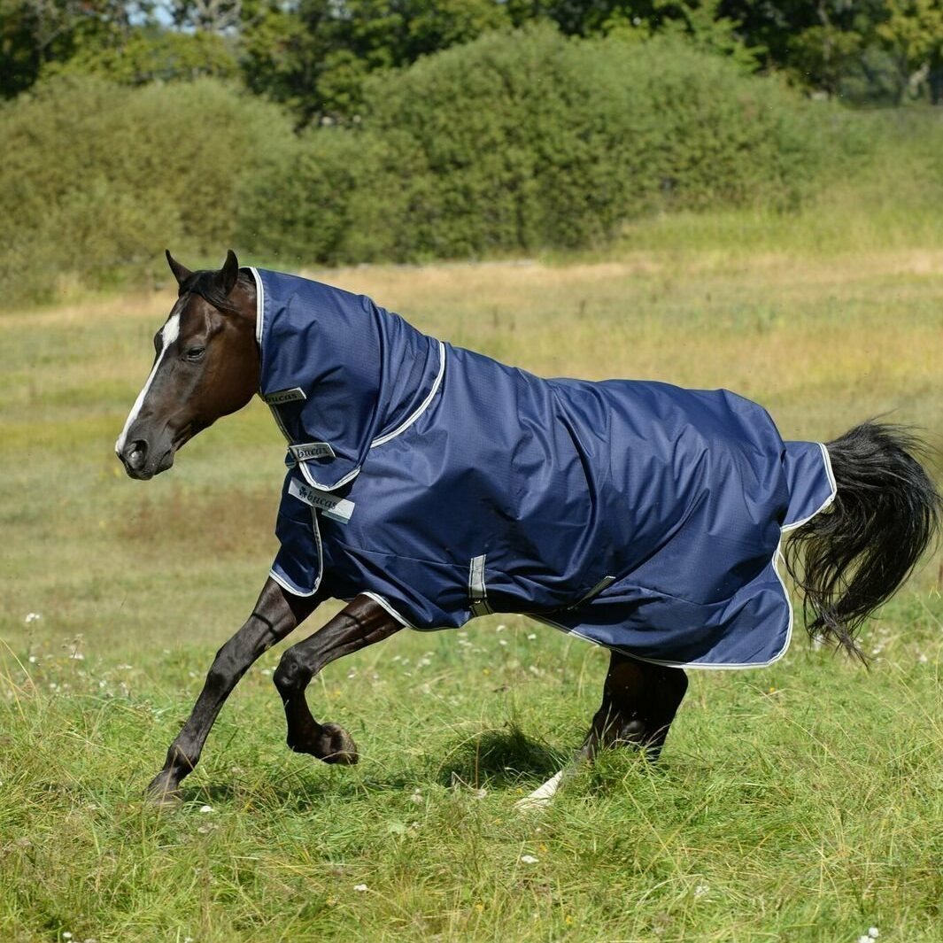 Bucas Freedom Turnout Light Full Neck sadeloimi Navy