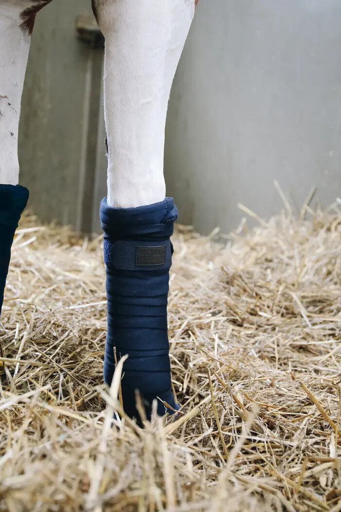 Kentucky Repellent tallipintelit Tummansininen