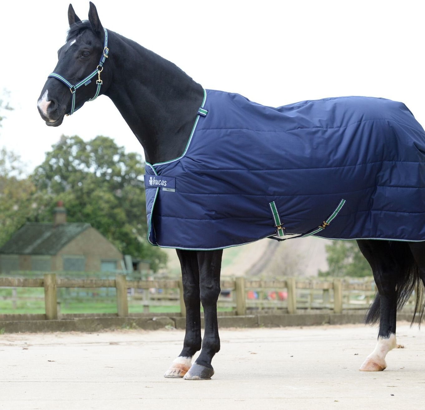 Bucas Quilt 150g SD Big Neck talliloimi Navy