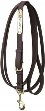 Kentucky Stallion Lead Ruskea