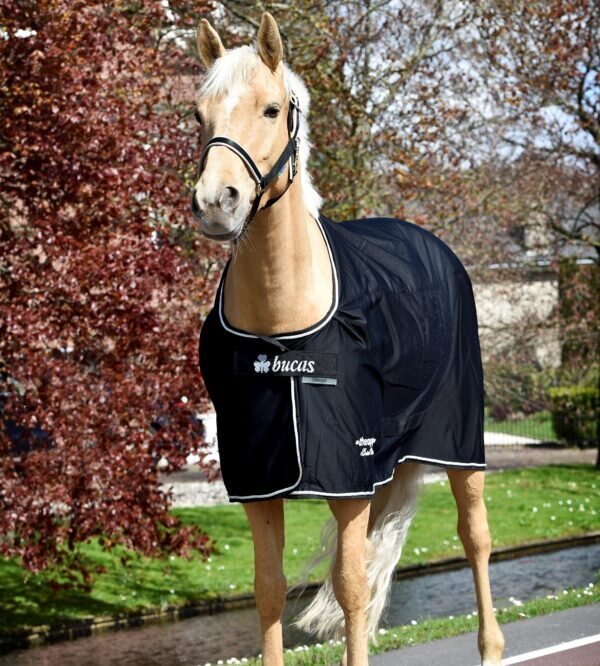 Bucas Therapy cooler terapialoimi Musta