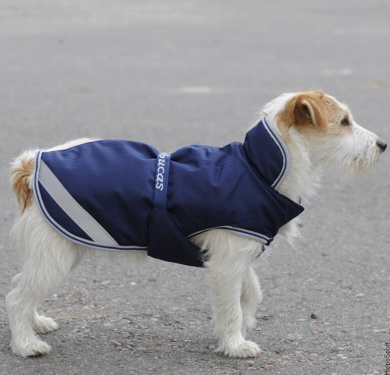 Bucas Freedom 50g koiraloimi Navy