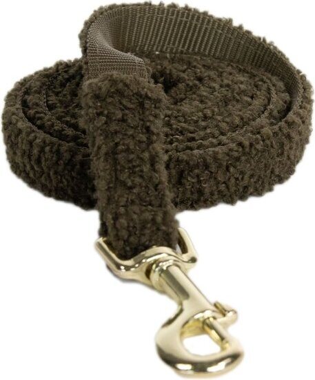 Kentucky Teddy koiran hihna Pine Green