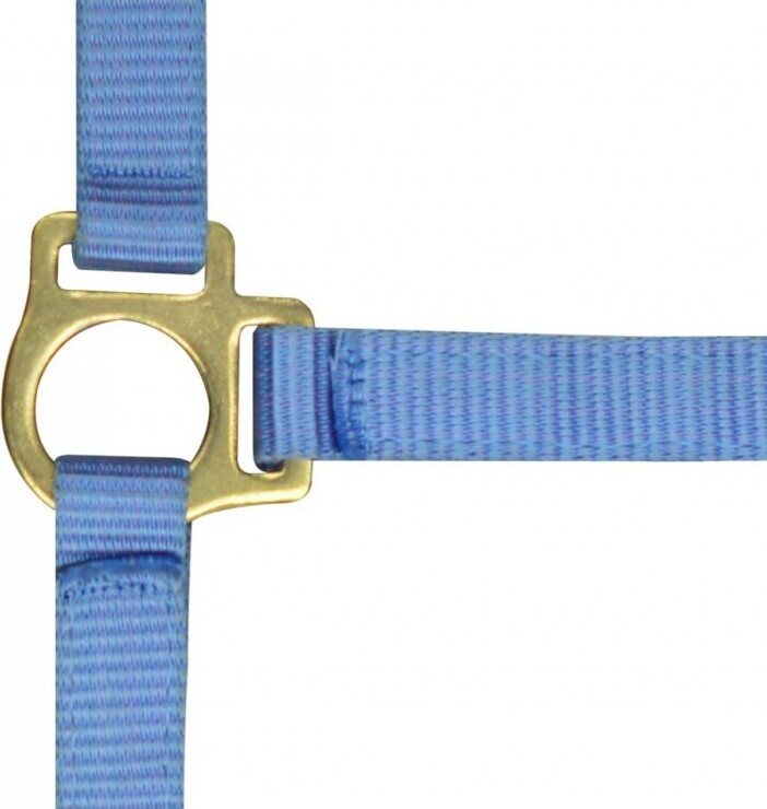 Norton Varsariimu Vaaleansininen