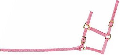 Norton Varsariimu Pinkki