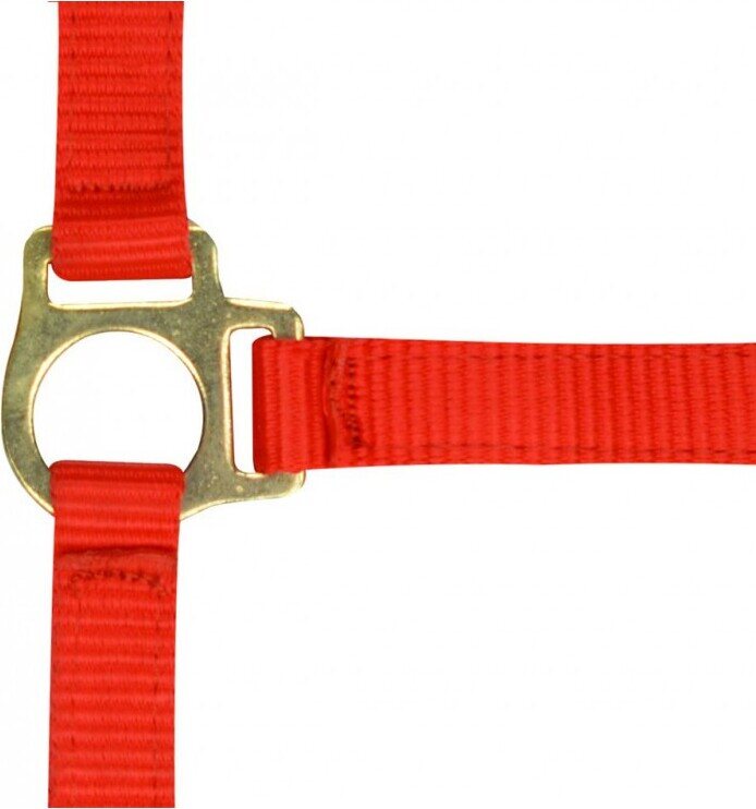 Norton Varsariimu Punainen