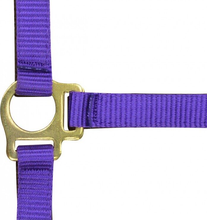 Norton Varsariimu Lila