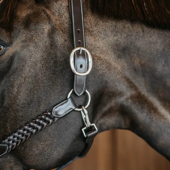 Dy'on Plaited nahkariimu Tummanruskea