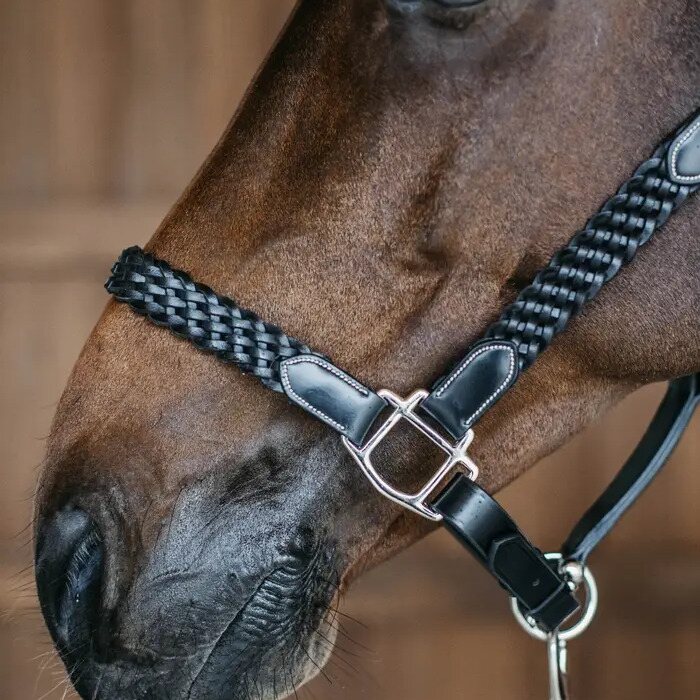 Dy'on Plaited nahkariimu Musta