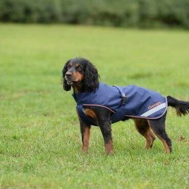 Bucas Therapy koiraloimi 150g Navy/Oranssi