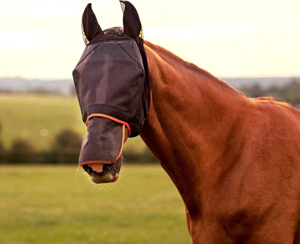 Equilibrium Field Relief Max ötökkähuppu Musta