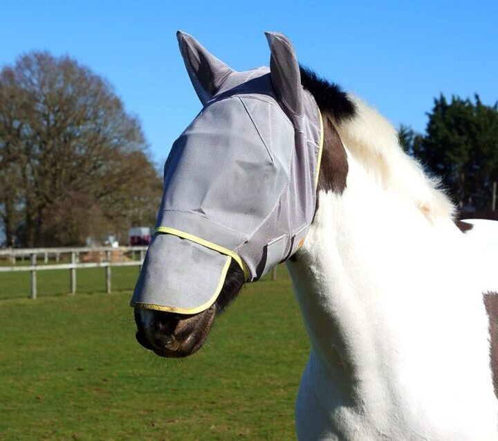 Equilibrium Field Relief Max ötökkähuppu Harmaa