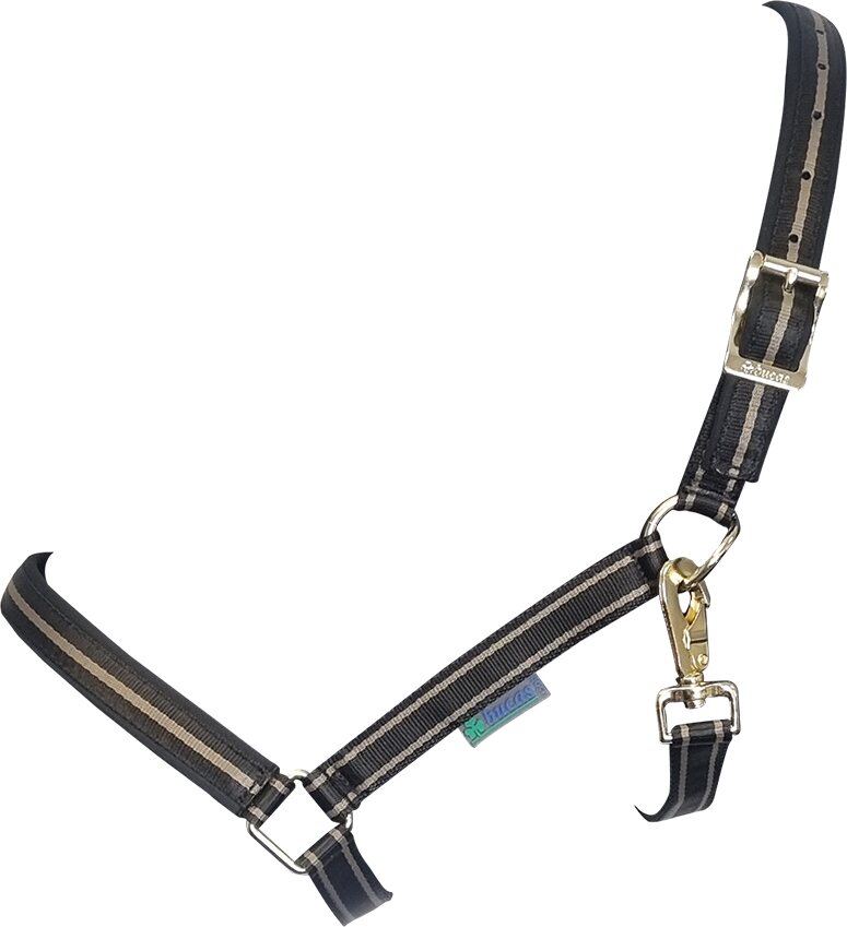 Bucas Dublin riimu Musta/Taupe