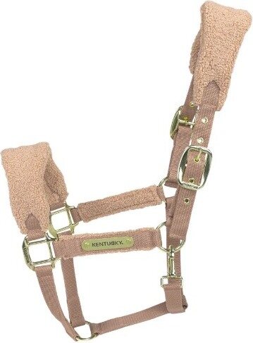 Kentucky Teddy Riimu Beige