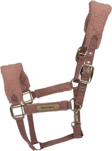 Kentucky Teddy Riimu Old Rose