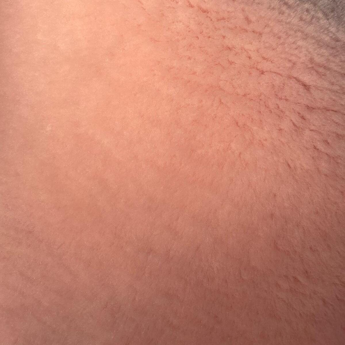 Mattes Lampaantalja Rose