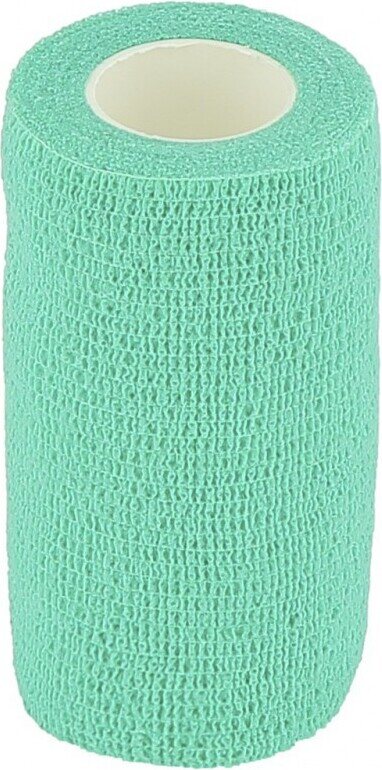 Hippo-Tonic Liimapinteli Turkoosi