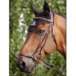 Dy'on D Collection Drop Noseband nivelsuitset