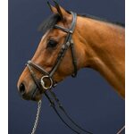 Dy'on Working Collection Flash Noseband nivelsuitset