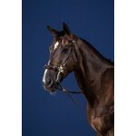 Dy'on US Collection Hackamore suitset