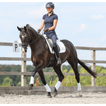 Equilibrium Stretch & Flex Flatwork suojat