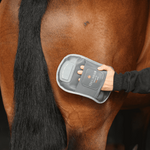 Equilibrium Massage Mit Hotspot hierontakinnas