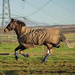 Equilibrium Equi-Chaps Hardy tarhasuojat