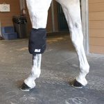 Ice Horse Knee Wrap kylmäyssuojat takaa
