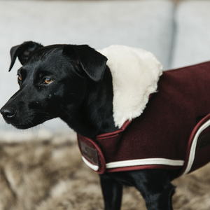 Kentucky Fleece koiraloimi