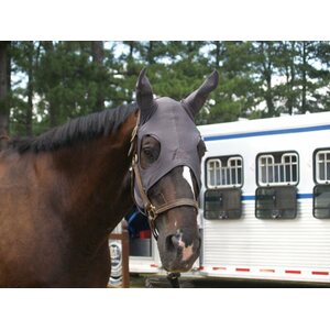 Fenwick Equestrian Liquid Titanium maski korvilla